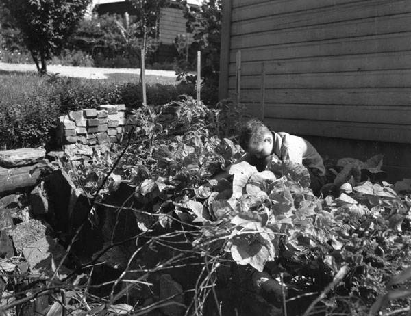 A Farm Memory